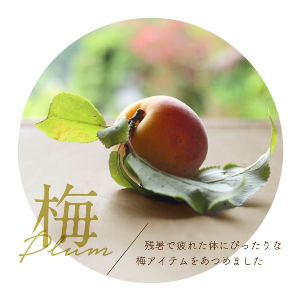 梅 – Plum – 残暑で疲れた体にぴったりな梅アイテムをあつめました。